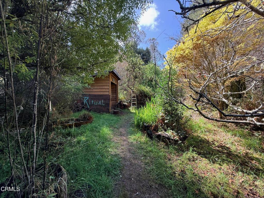 3480 Albion Ridge G Road North Albion, CA 95410 - Photo 31 of 32 Pathway