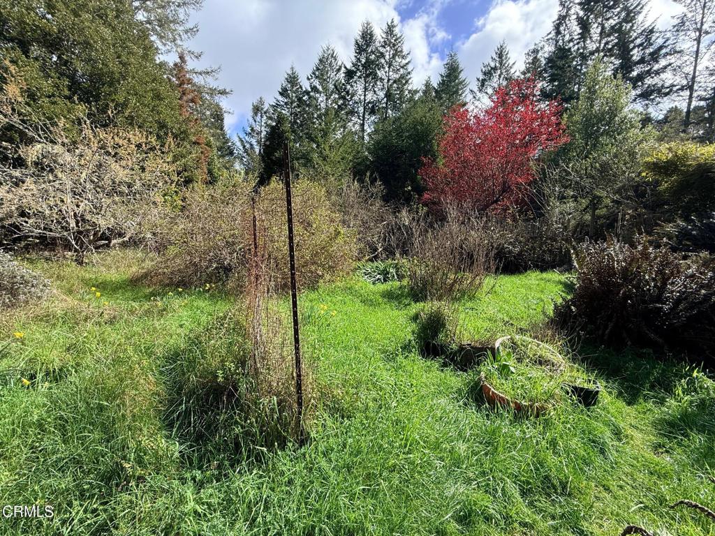 3480 Albion Ridge G Road North Albion, CA 95410 - Photo 32 of 32 Garden