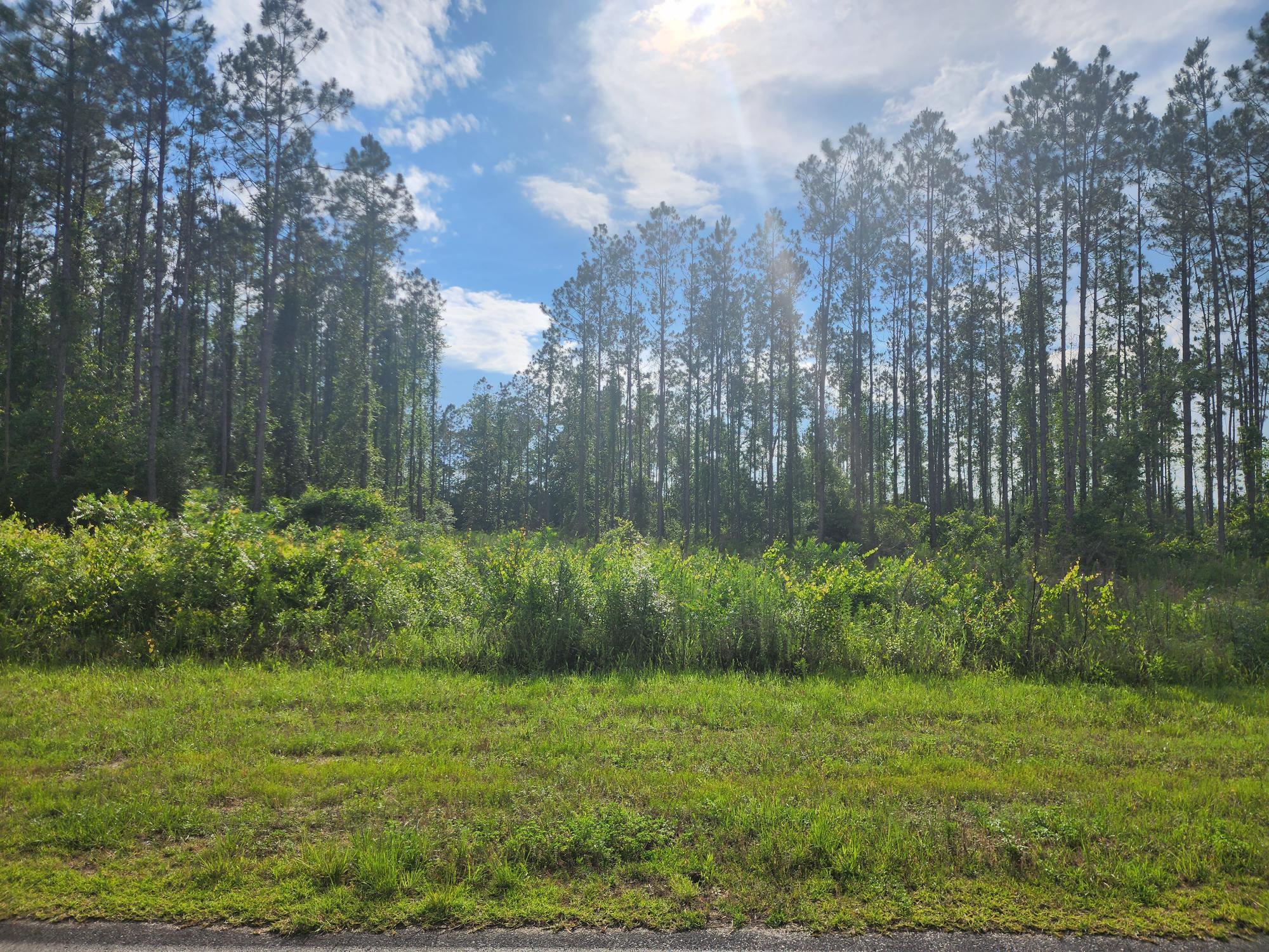 3 Long Road DeFuniak Springs, FL 32433 - Photo 1 of 2 Long Road Parcel 3 Cleared Area