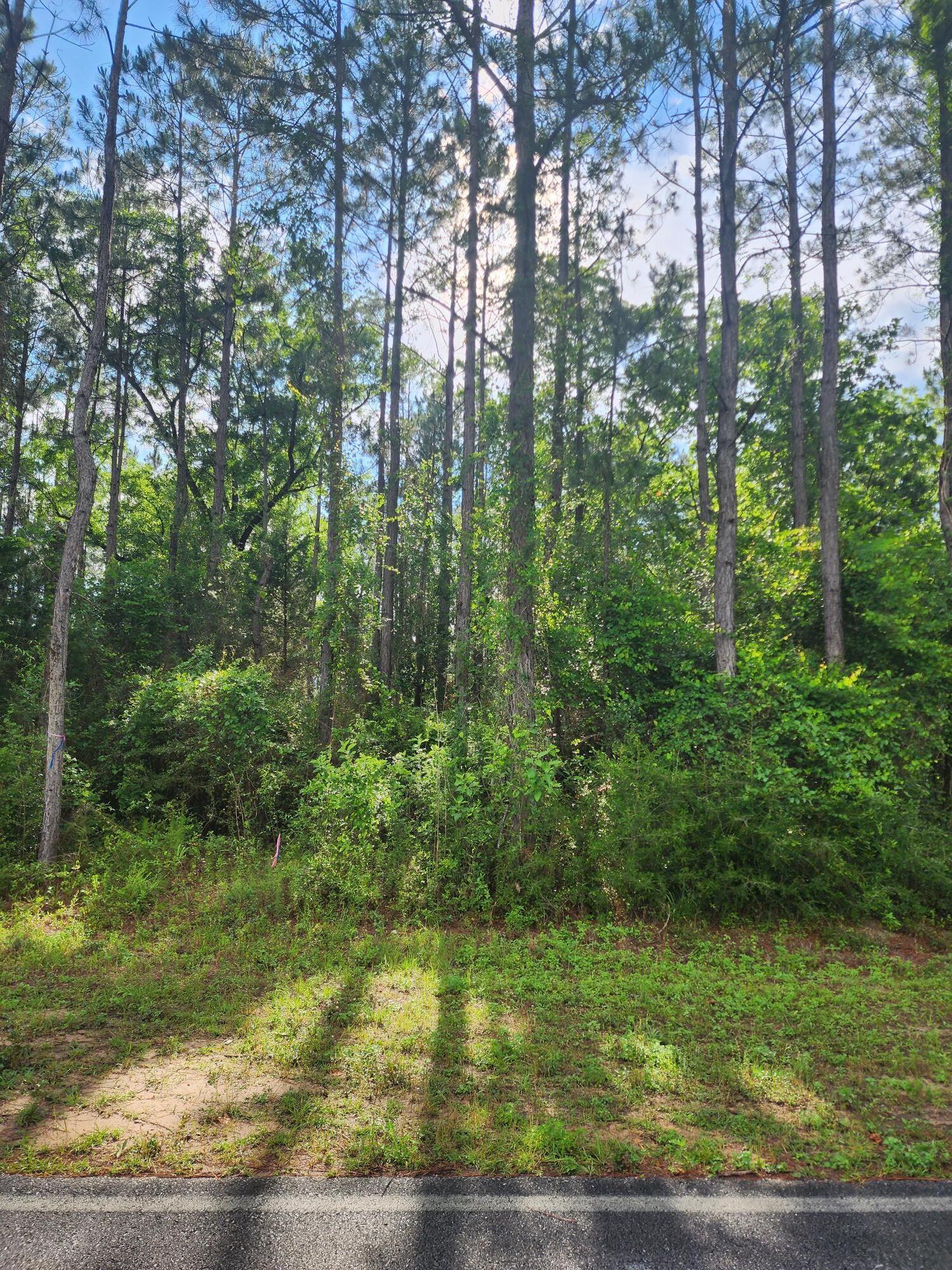 3 Long Road DeFuniak Springs, FL 32433 - Photo 2 of 2 Long Road Parcel 3