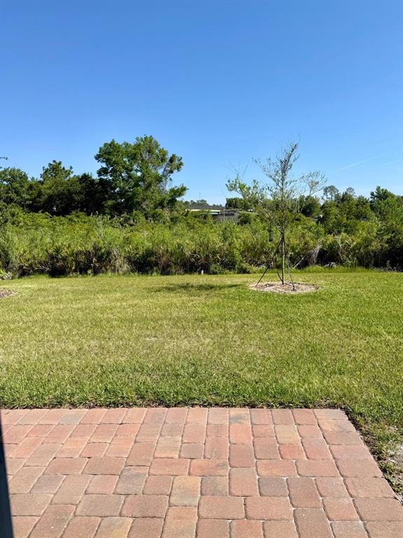 4501 Burrowing Owl Loop St. Cloud, FL 34772 - Photo 18 of 41