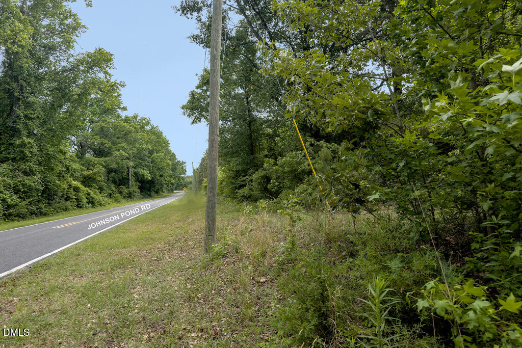 401 Johnson Pond Road Red Springs, NC 28377 - Photo 20 of 22 MLS_3.54acres_Hoke-11