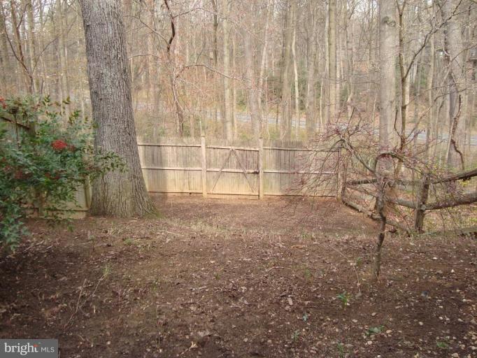 7939 Inverness Ridge Road Potomac, MD 20854 - Photo 8 of 10 BACK YARD