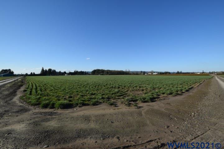 22506 Bents Road Northeast Aurora, OR 97002 - Photo 22 of 33