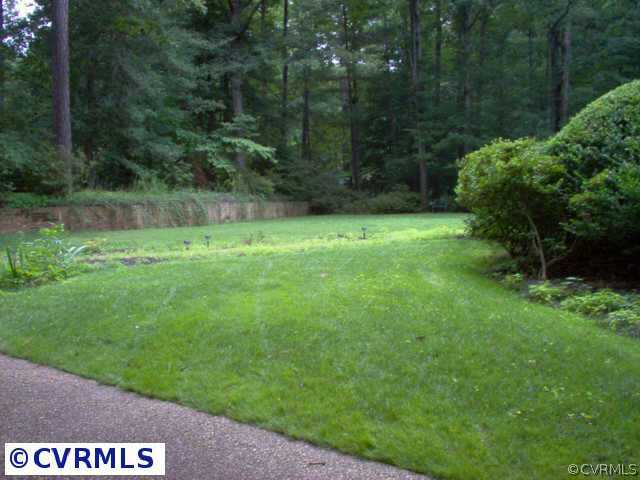 9201 Cardiff Road Richmond, VA 23236 - Photo 4 of 8 a view of backyard with green space