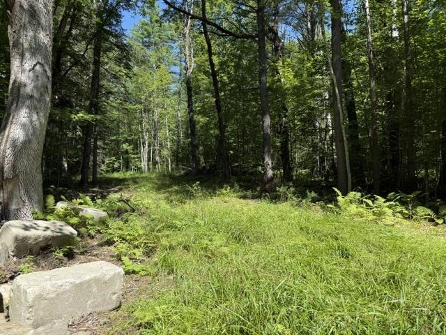 362 Mero Road Vershire, VT 05079 - Photo 1 of 7 Gallery Image 1
