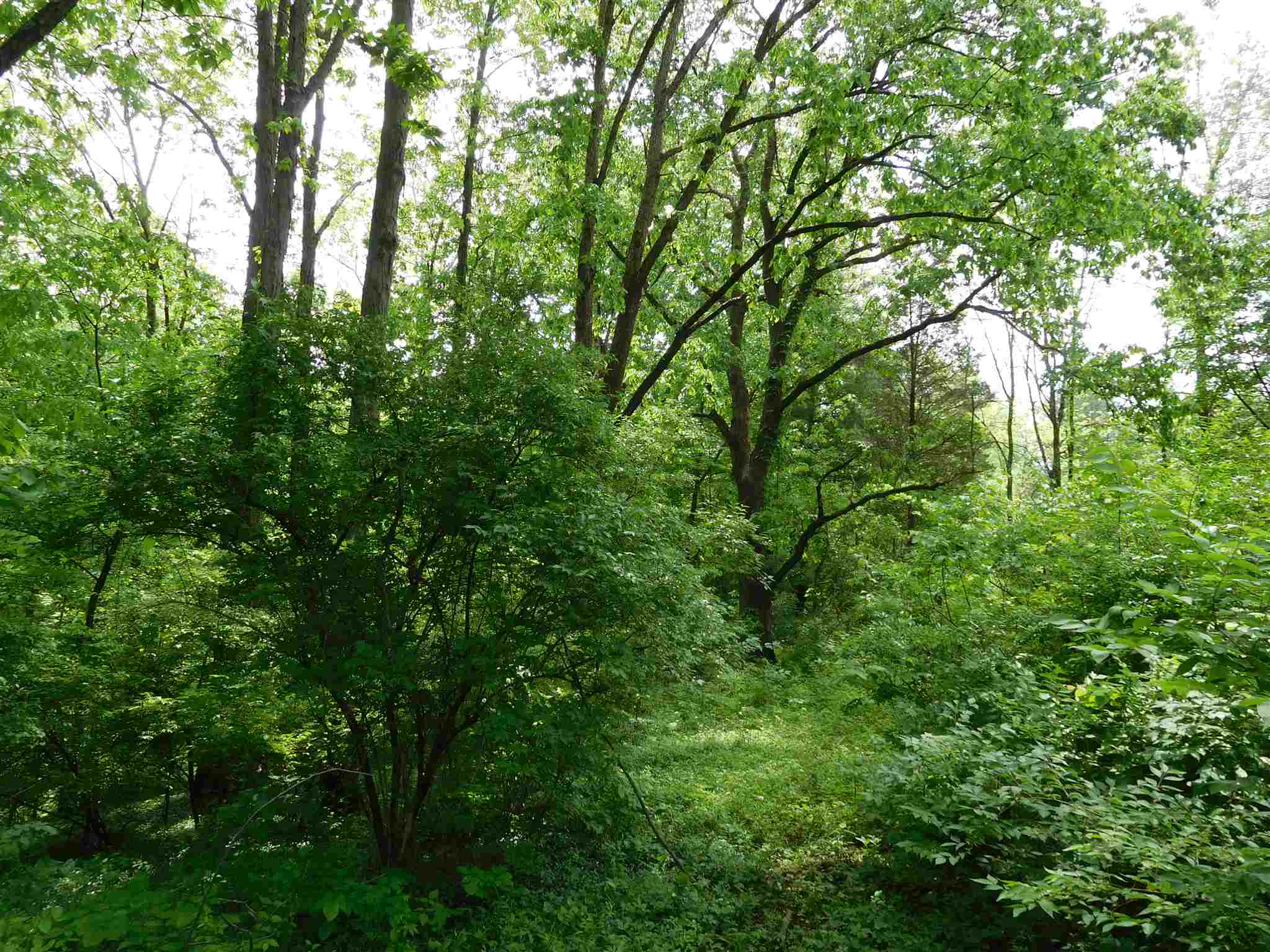 3808 North Maple Grove Road Bloomington, IN 47404 - Photo 21 of 21