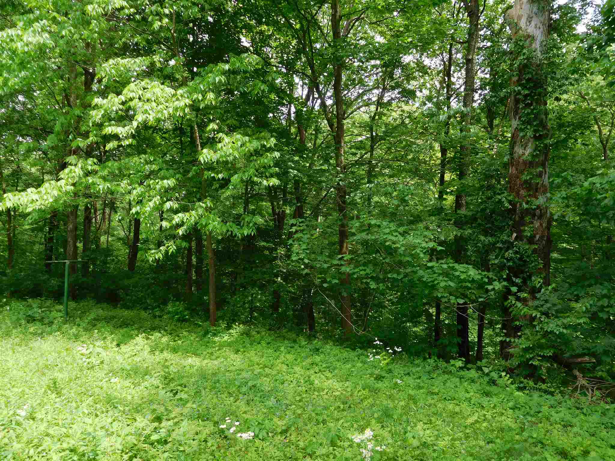 3808 North Maple Grove Road Bloomington, IN 47404 - Photo 8 of 21