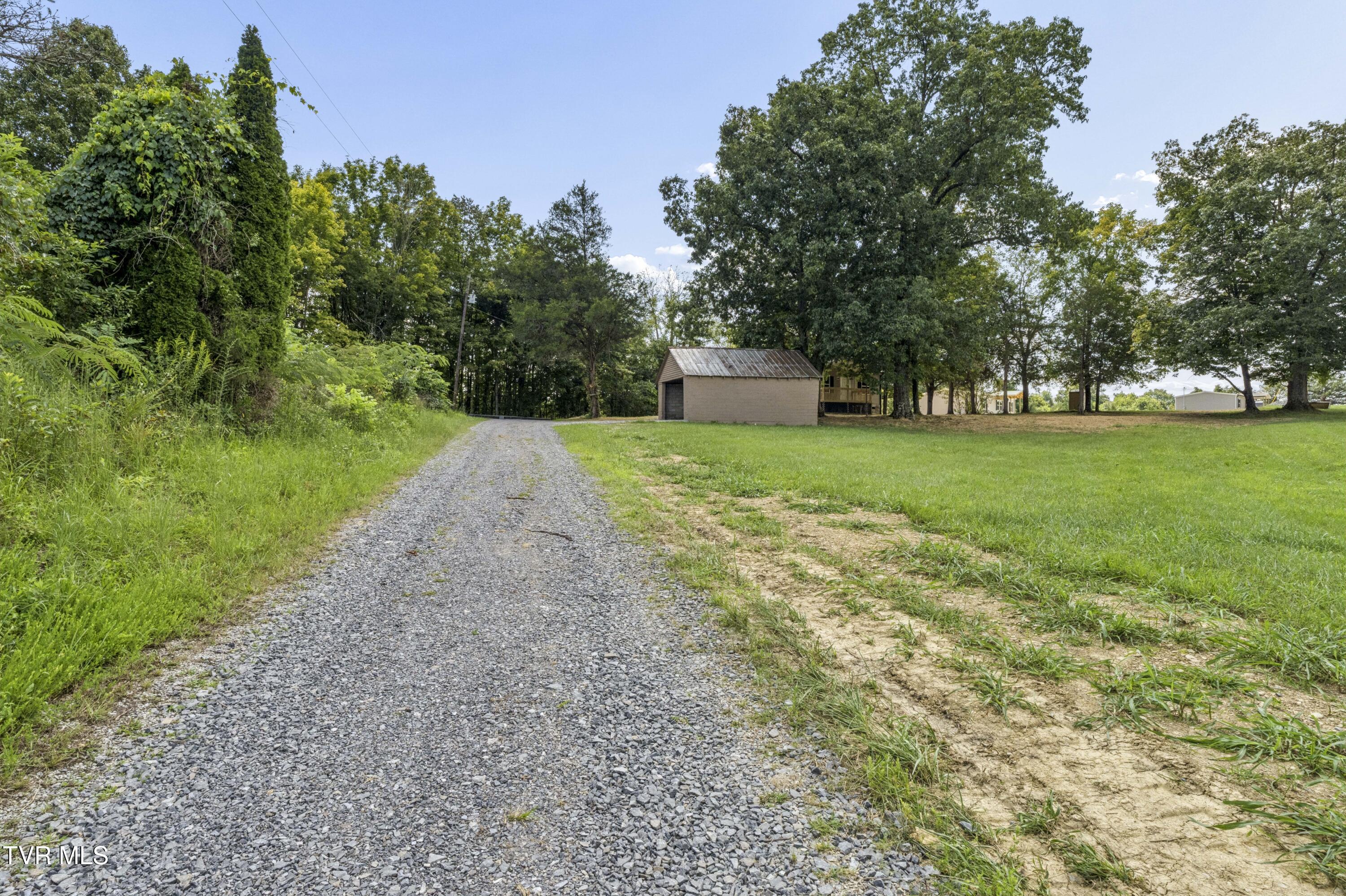 170 Bertie Patton Road Mosheim, TN 37818 - Photo 41 of 44 Bernie-41