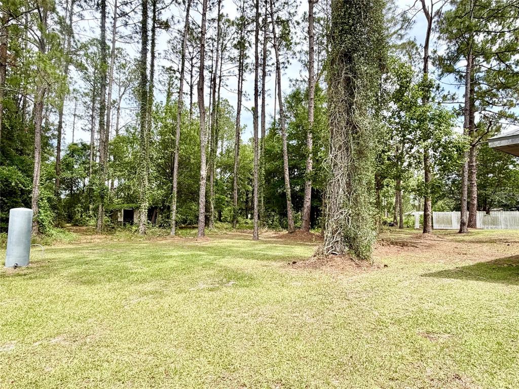 9972 Southwest 151st Place Lake Butler, FL 32054 - Photo 21 of 27