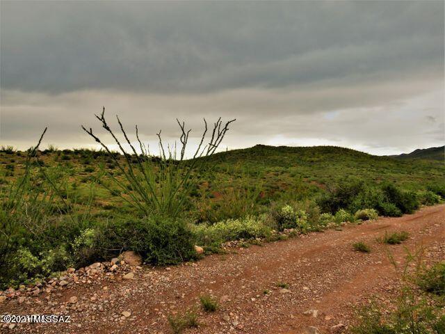 40.36 Acres Douglas, AZ 85607 - Photo 7 of 16 Gallery Image 7