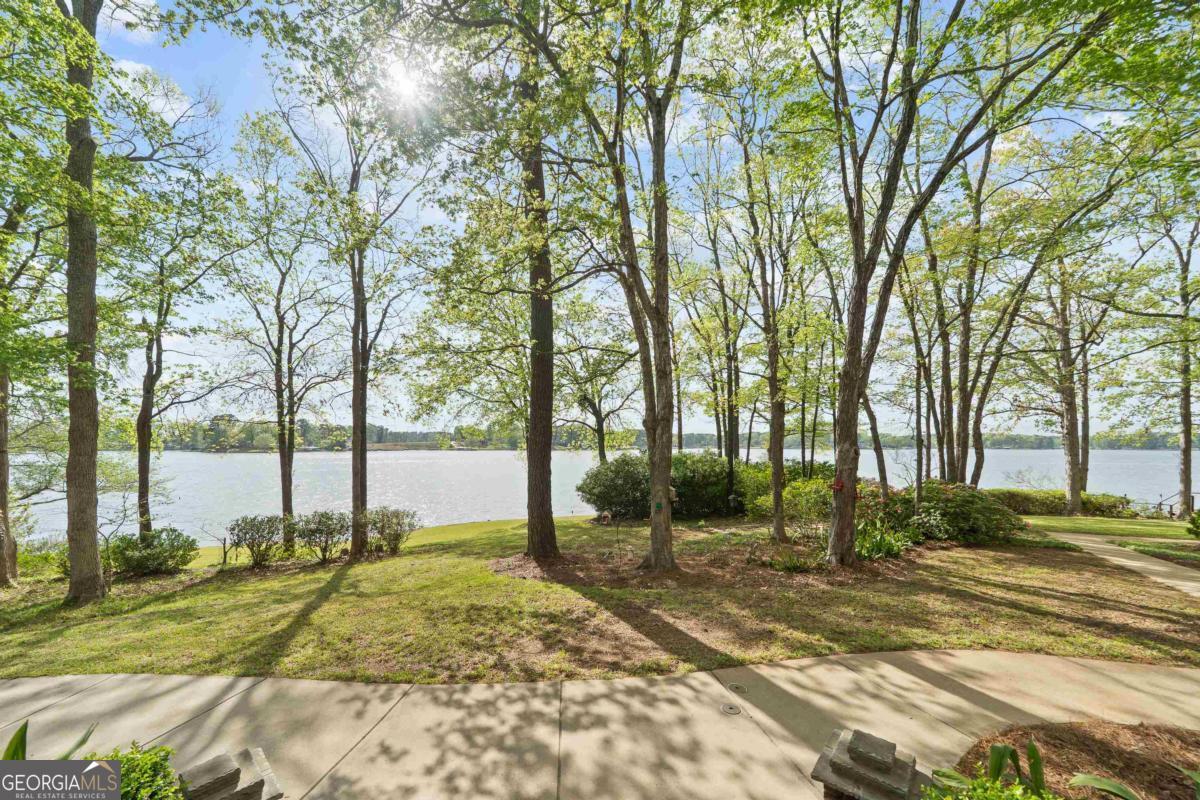 390 David Williams Road Sparta, GA 31087 - Photo 3 of 73 a view of a yard with plants and trees