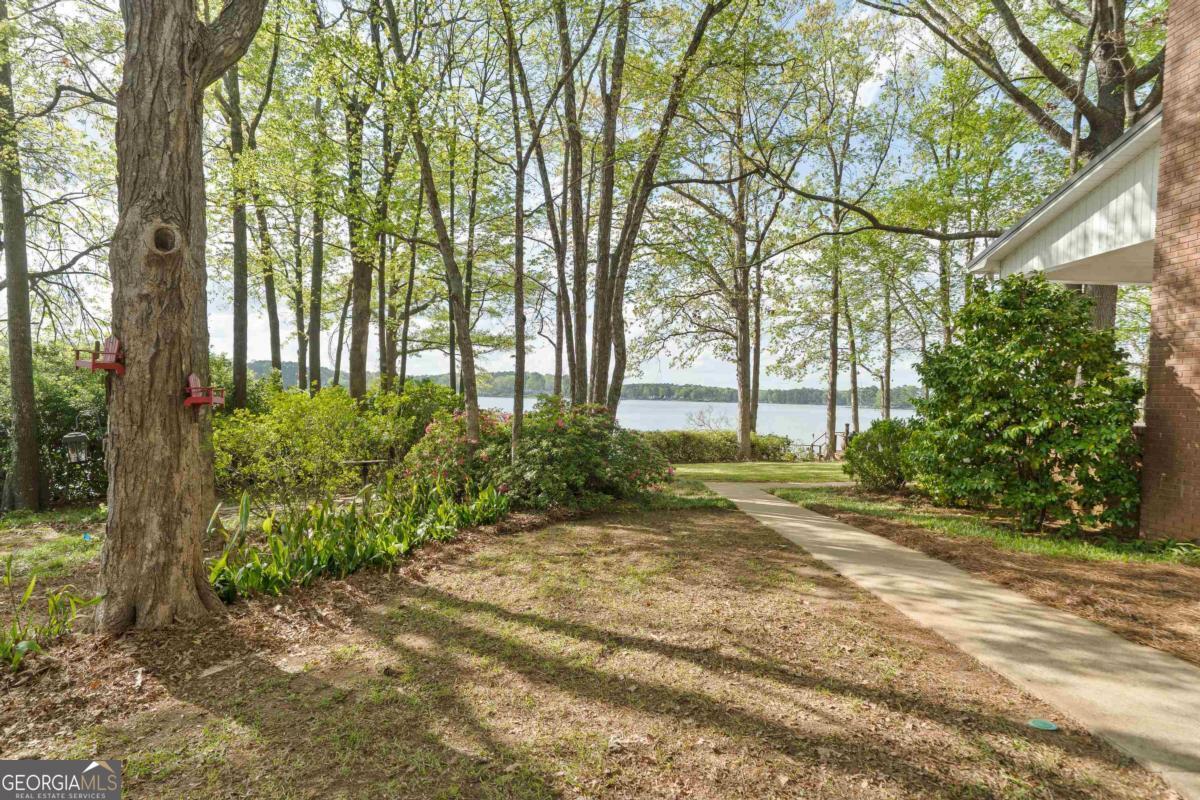 390 David Williams Road Sparta, GA 31087 - Photo 6 of 73 a view of a yard with plants and large trees