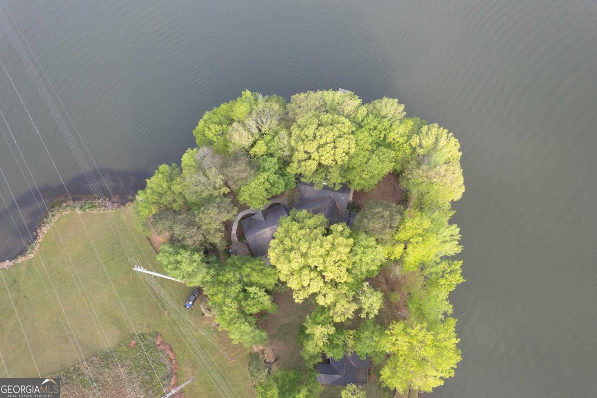 390 David Williams Road Sparta, GA 31087 - Photo 65 of 73 a close up of a flower in a garden