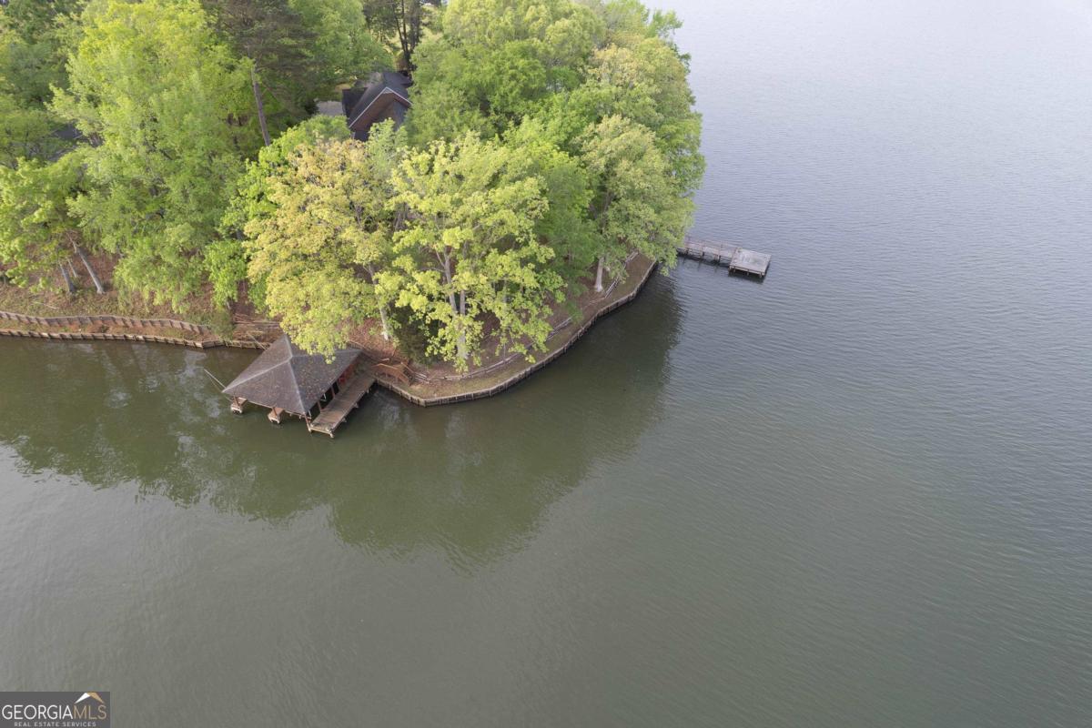 390 David Williams Road Sparta, GA 31087 - Photo 66 of 73 a view of a lake from a balcony