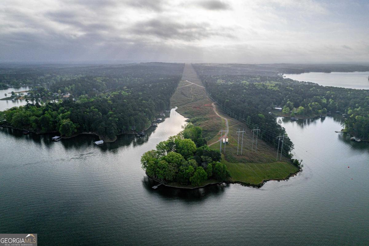 390 David Williams Road Sparta, GA 31087 - Photo 67 of 73 a view of a lake with a city