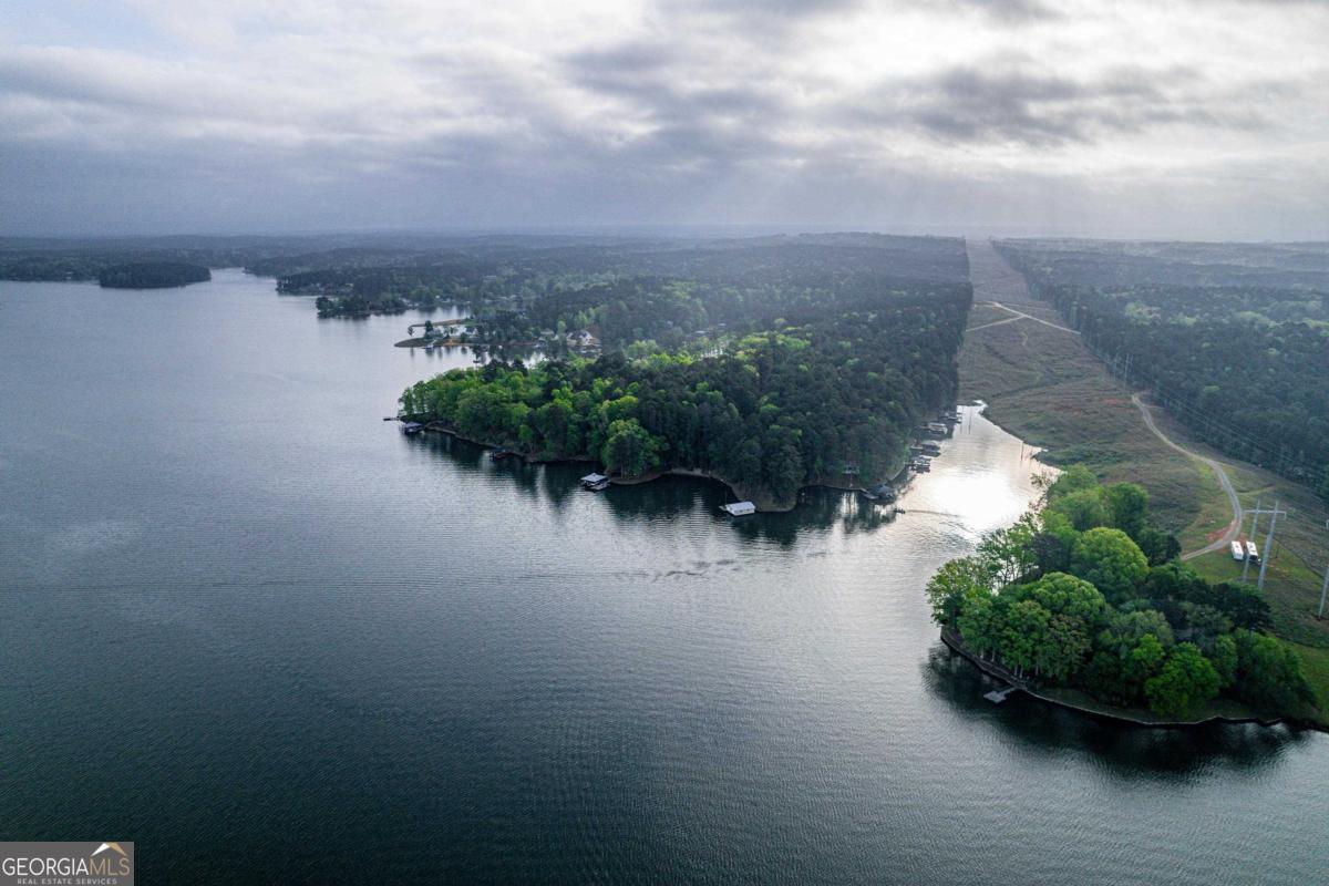 390 David Williams Road Sparta, GA 31087 - Photo 69 of 73 an aerial view of a city