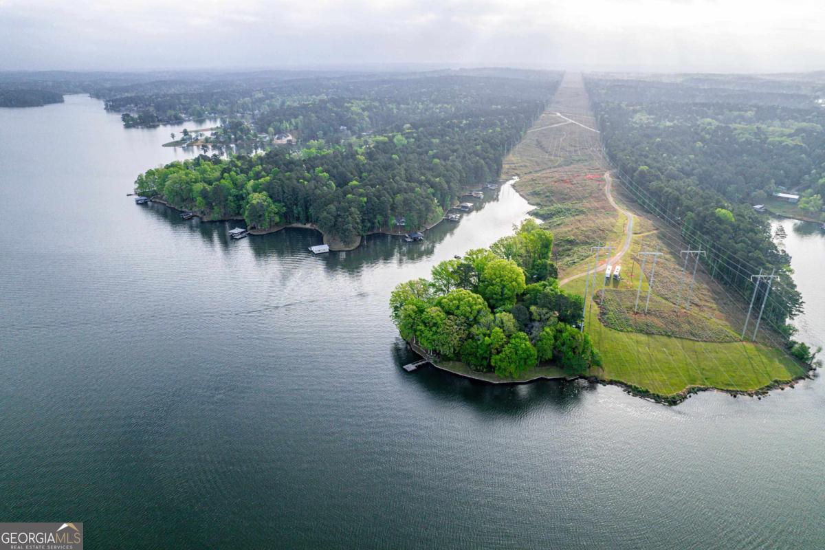 390 David Williams Road Sparta, GA 31087 - Photo 70 of 73 a view of a garden