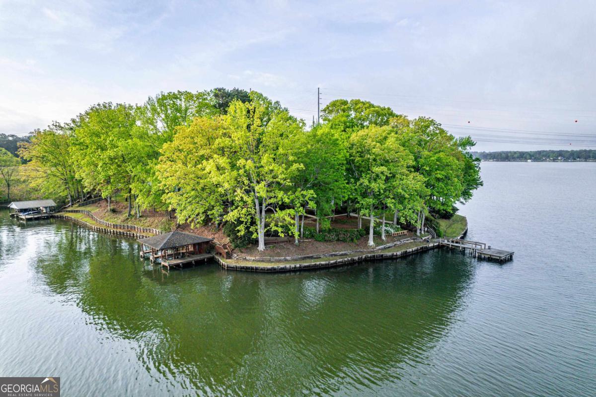 390 David Williams Road Sparta, GA 31087 - Photo 7 of 73 a view of boat floating on water