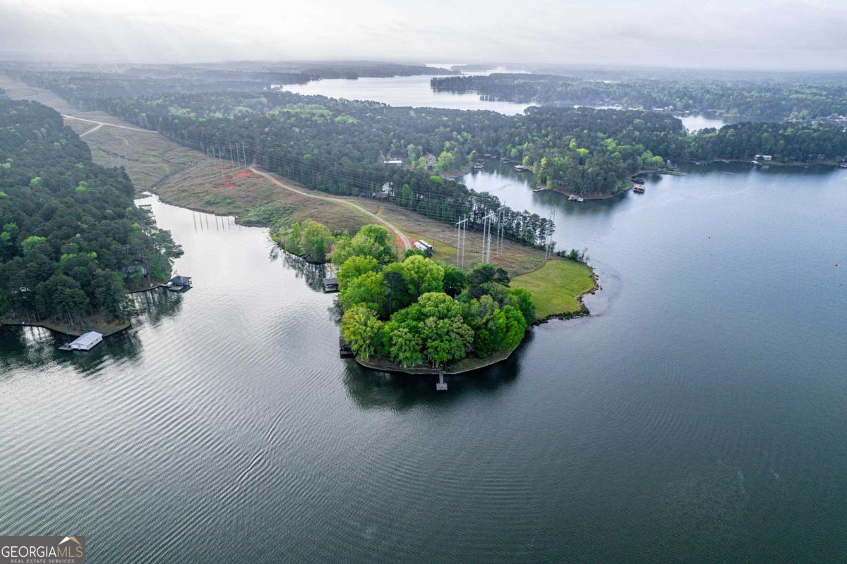 390 David Williams Road Sparta, GA 31087 - Photo 72 of 73 an aerial view of a house with a garden and lake view