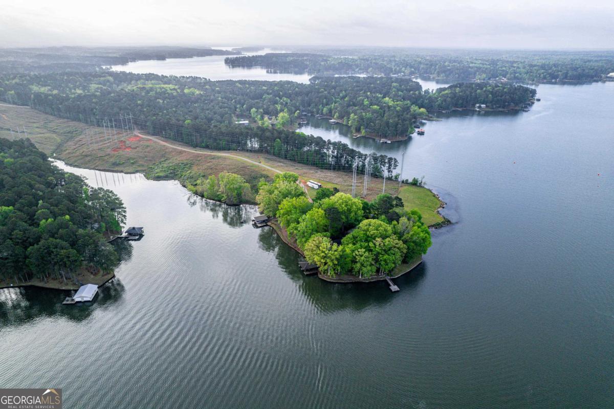 390 David Williams Road Sparta, GA 31087 - Photo 73 of 73 a view of a lake with a city
