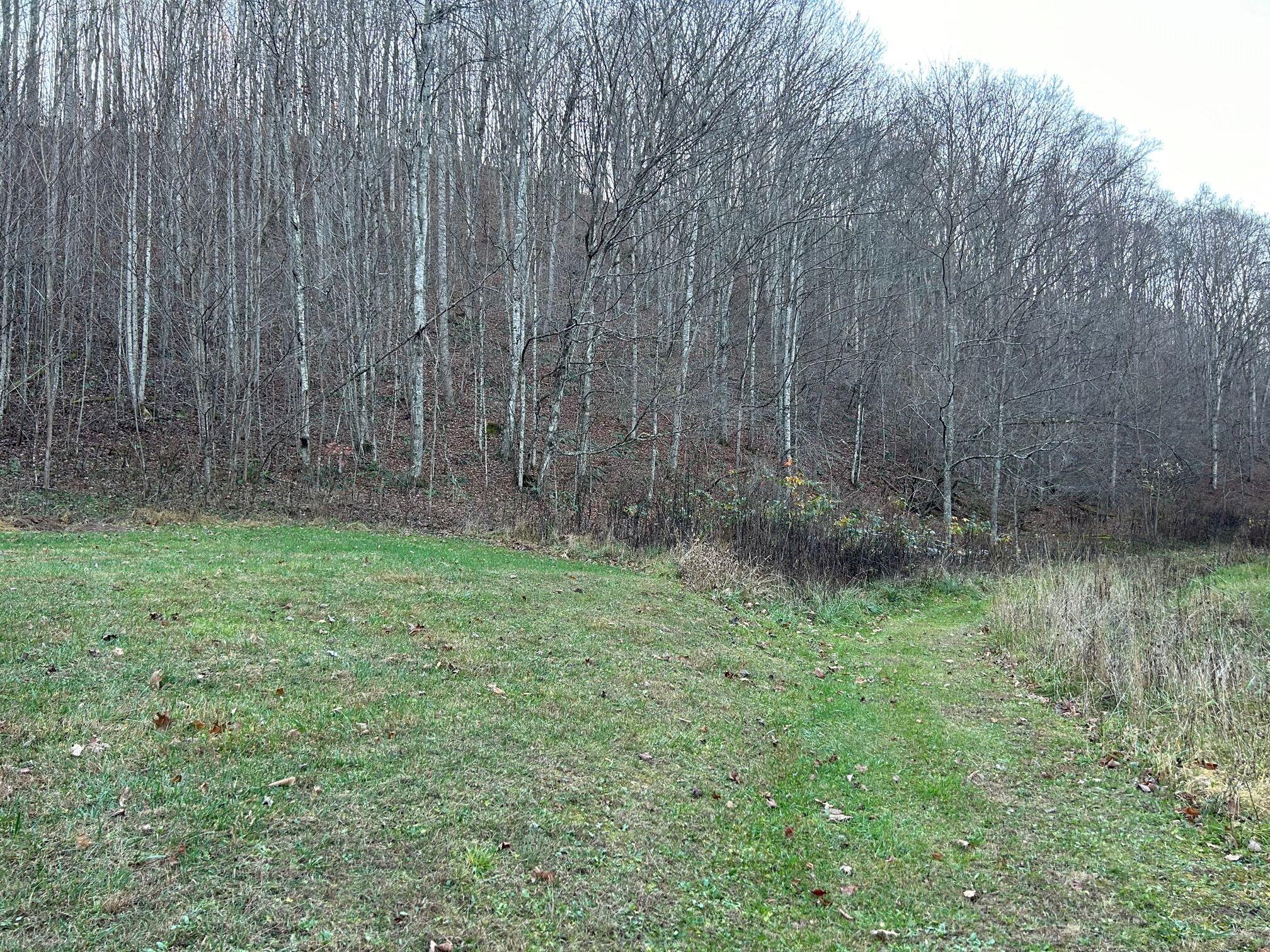 Dale Hollow Road Renick, WV 24966 - Photo 2 of 17 Gallery Image 2