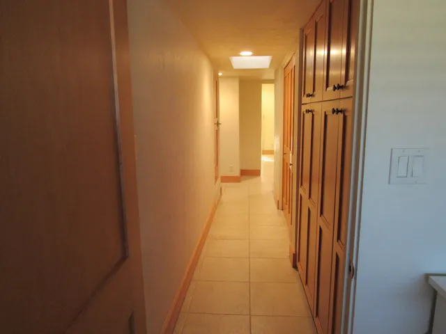 a view of a house with a backyard and plants