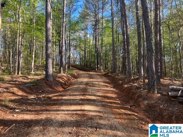 707 Sequoyah Road, Unit 1 Pell City, AL 35128 - Photo 16 of 18
