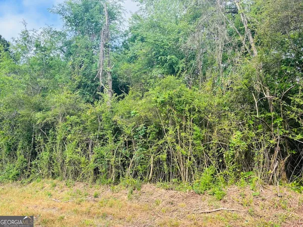 $85,200 | 0 Wall Street, Unit TRACT A, Tallassee, AL 36078