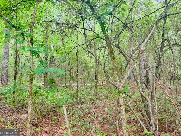 $85,200 | 0 Wall Street, Unit TRACT A, Tallassee, AL 36078