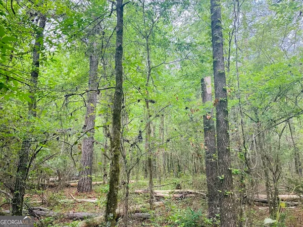 $85,200 | 0 Wall Street, Unit TRACT A, Tallassee, AL 36078