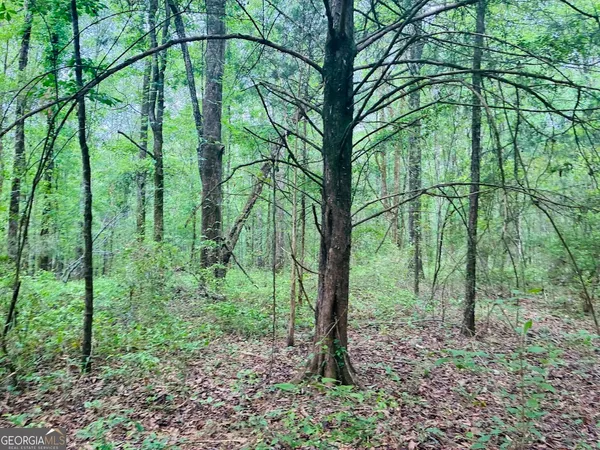 $85,200 | 0 Wall Street, Unit TRACT A, Tallassee, AL 36078