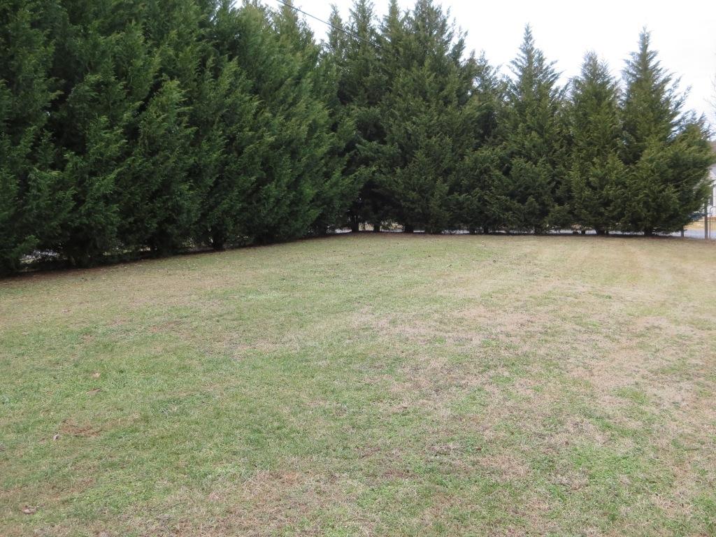 1914 Navigation Point Goodview, VA 24095 - Photo 4 of 15 a view of outdoor space and yard