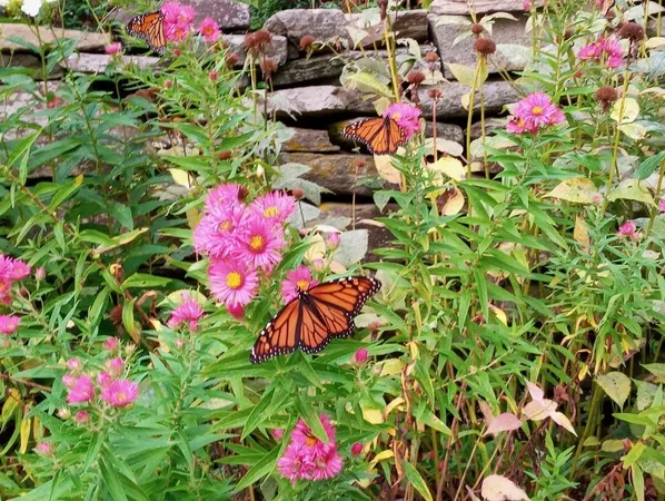 $310,000 | 3130 Vermont Rte 100, Whitingham, VT 05342