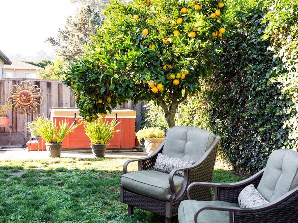 468 Helen Drive Millbrae, CA 94030 - Photo 23 of 28