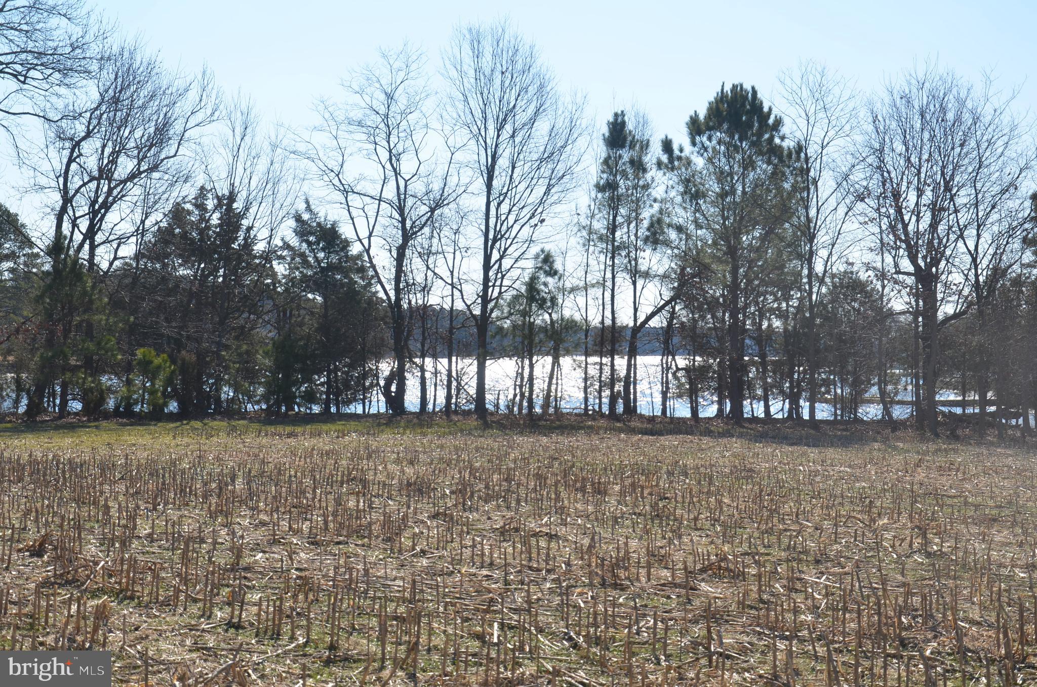 0 Church Neck Road St. Michaels, MD 21663 - Photo 2 of 18
