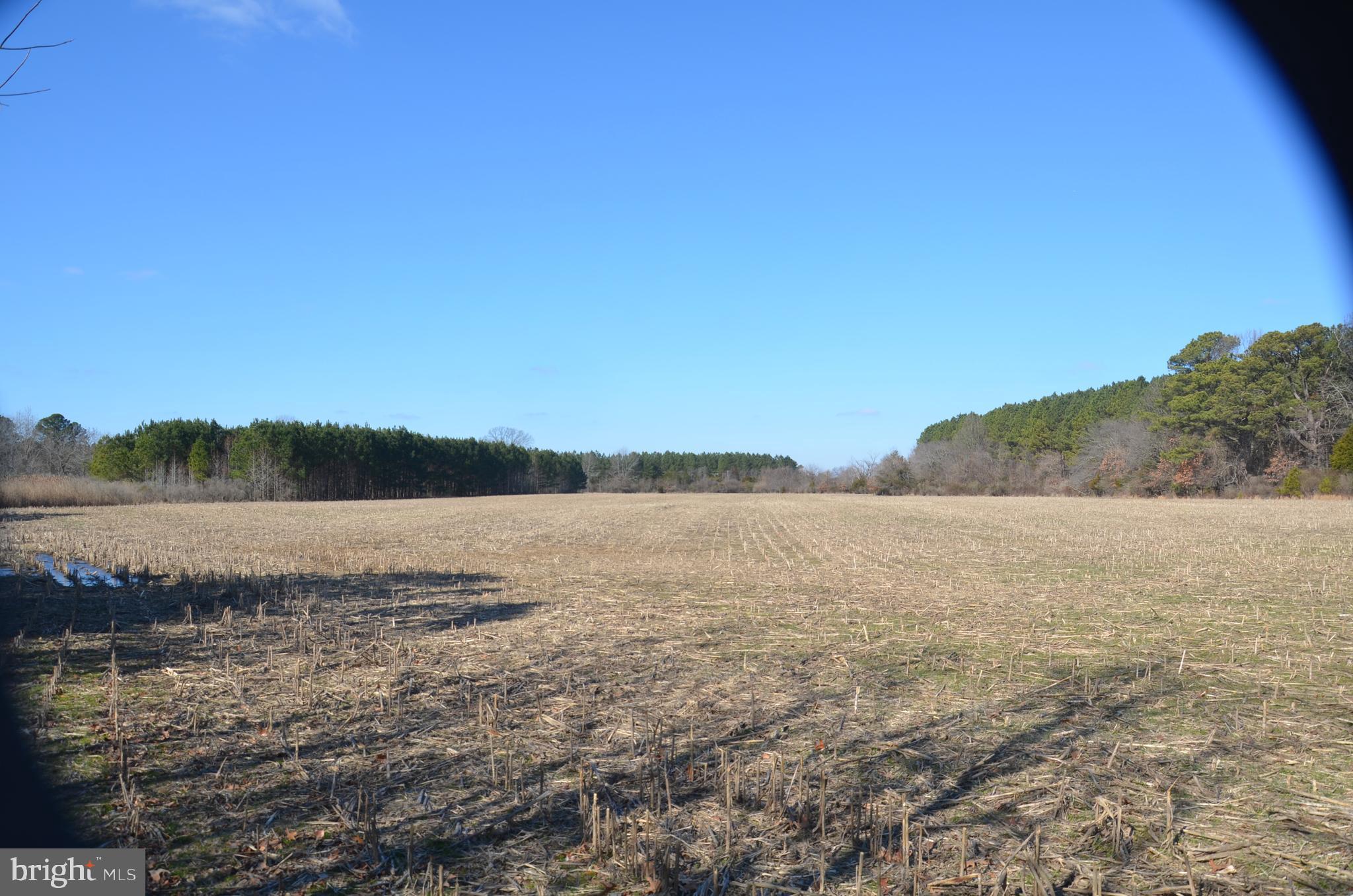 0 Church Neck Road St. Michaels, MD 21663 - Photo 7 of 18