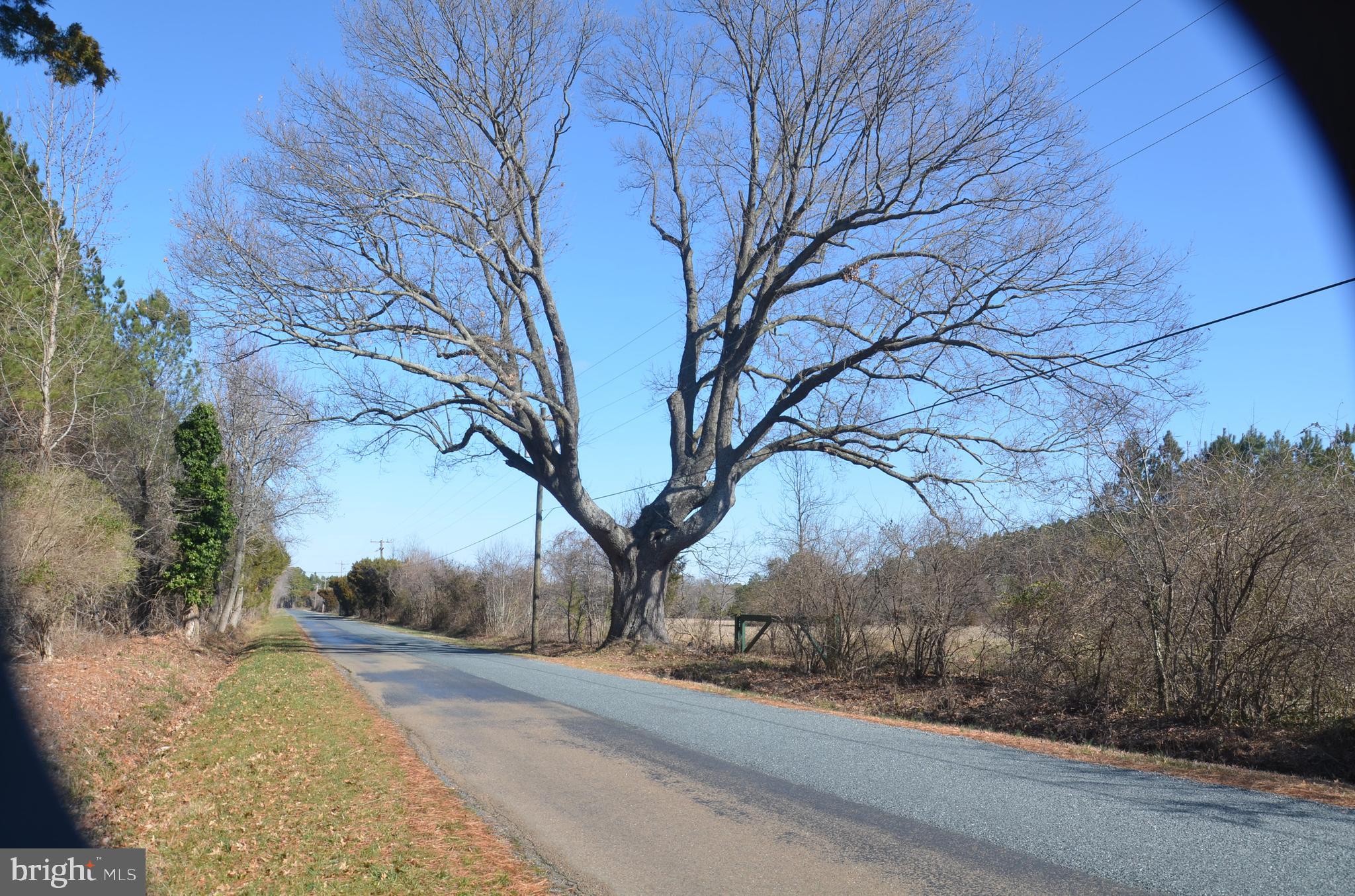 0 Church Neck Road St. Michaels, MD 21663 - Photo 8 of 18