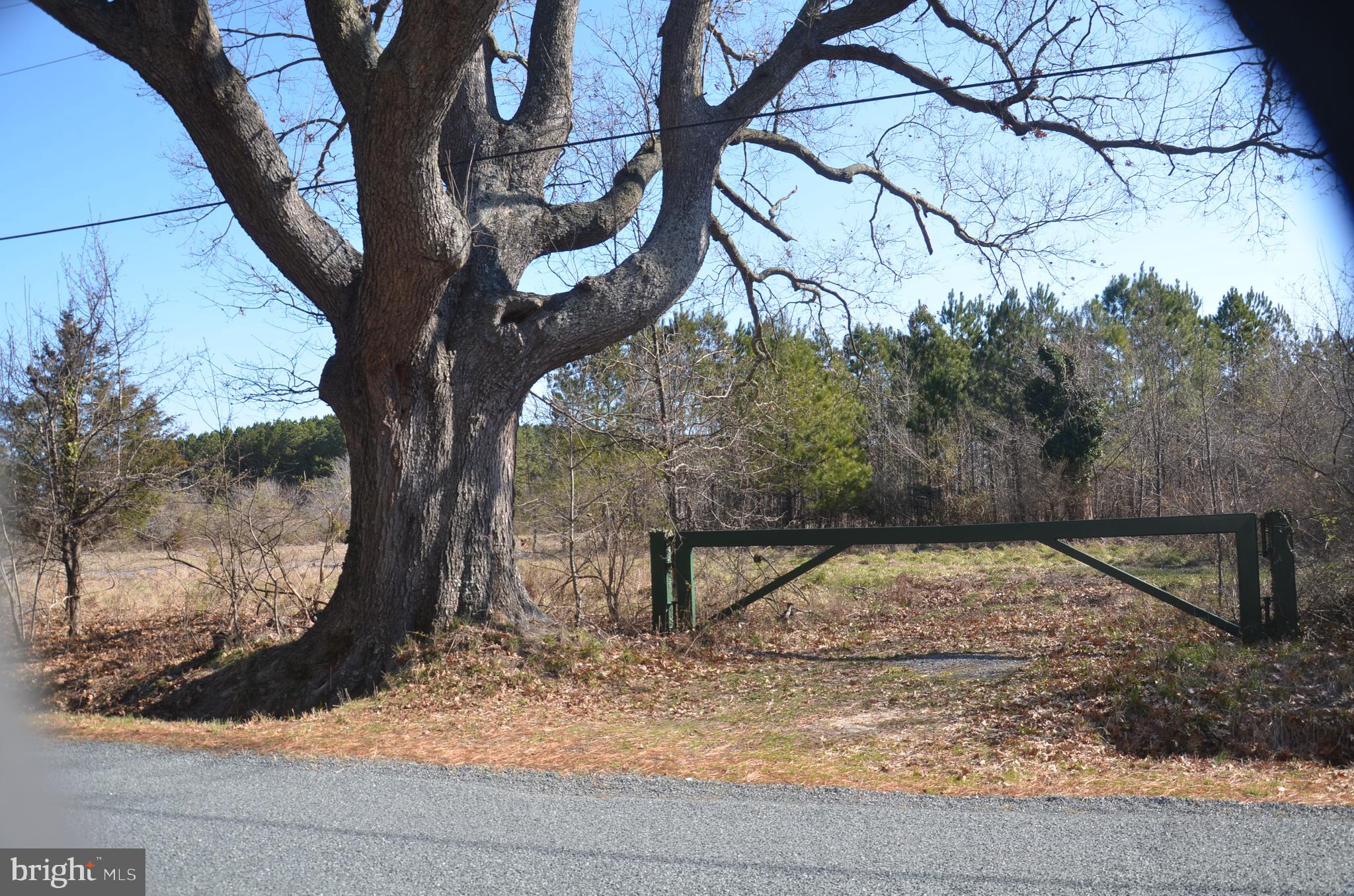 0 Church Neck Road St. Michaels, MD 21663 - Photo 9 of 18