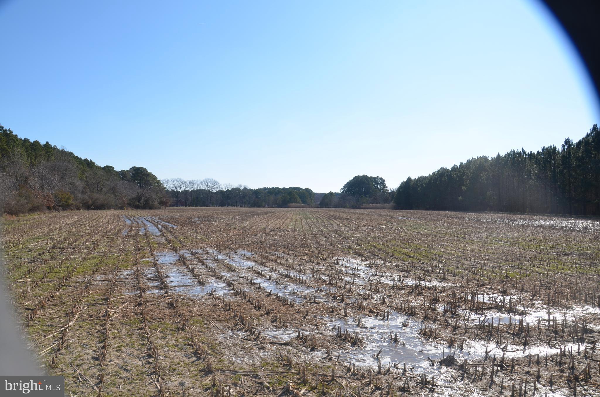 0 Church Neck Road St. Michaels, MD 21663 - Photo 10 of 18