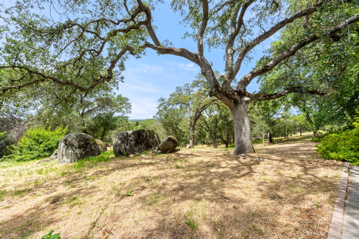 4223 Wise Road Lincoln, CA 95648 - Photo 50 of 95