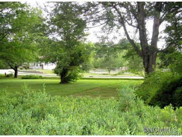 205 Elm Bend Road Brevard, NC 28712 - Photo 23 of 24 Gallery Image 23