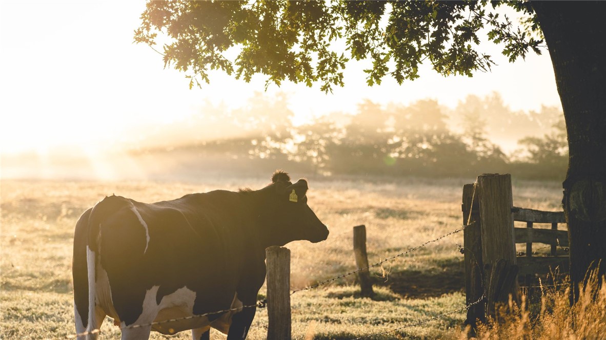 6554 Garhole View Lane Bryan, TX 77808 - Photo 7 of 11 a view of ocean from a balcony