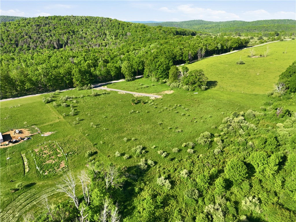 0 Hagerman Road Waverly, NY 14892 - Photo 6 of 10 Gallery Image 6