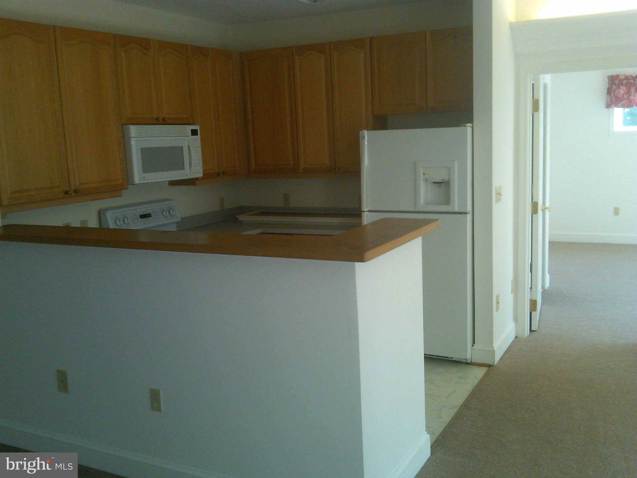 524 Runabout Loop, Unit O9 Solomons, MD 20688 - Photo 13 of 30 Kitchen