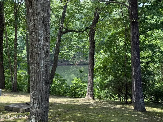 $129,000 | 291 Moytoy Road, Unit 206, Crab Orchard, TN 37723