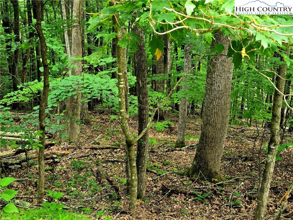 Red Fox Ridge Boone, NC 28607 - Photo 1 of 17