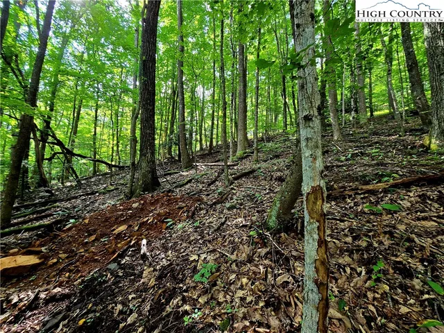 a view of outdoor space and trees