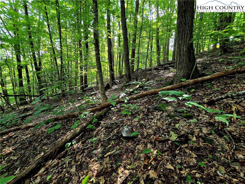 Red Fox Ridge Boone, NC 28607 - Photo 15 of 17 a view of outdoor space and trees