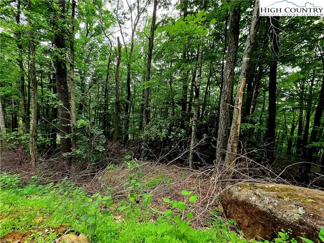 a view of backyard with green space